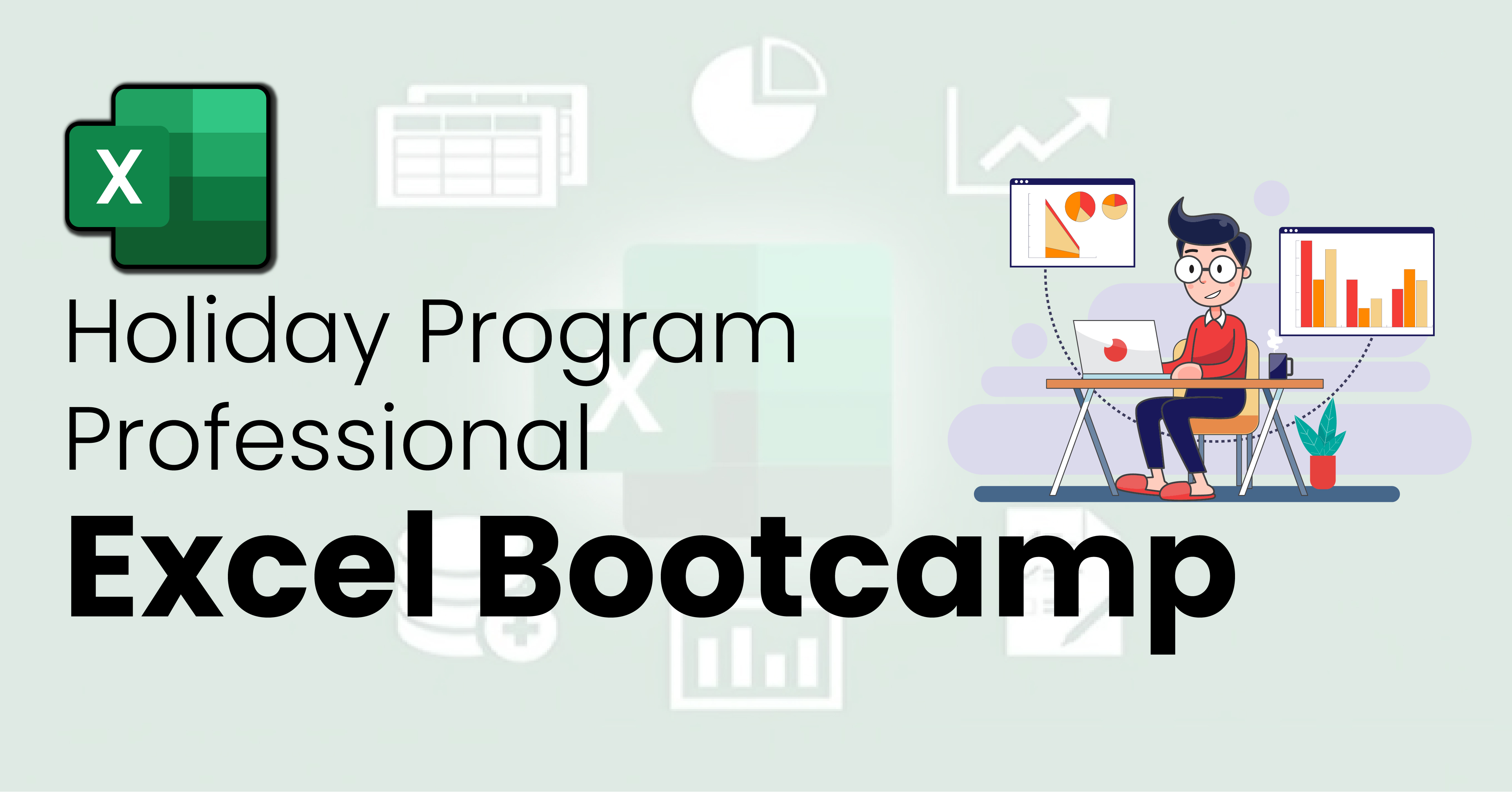 Professional Excel Bootcamp